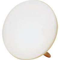 Jumbo Therapy Light for Seasonal Affective Disorder Les Distributions ICE