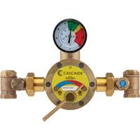 Mixing Valve for Exposed Assembly of Drench or Combination Emergency Shower, 56 GPM Les Distributions ICE