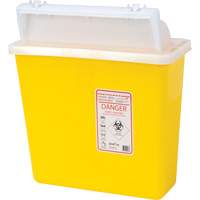 Sharps Container, 4.6L Capacity Les Distributions ICE
