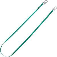 V-Series Tieback Restraint Lanyard, 10' Les Distributions ICE