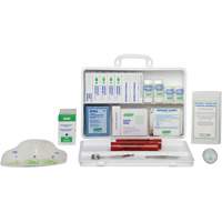 Basic First Aid Kit, Meets CSA Z1220-17 Type 2 Low-Risk Environment, Medium (26-50 Workers) Les Distributions ICE