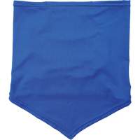 Chill-Its 6483 Cooling Neck Gaiter Bandana with Pocket, Blue Les Distributions ICE