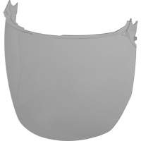 Lentilles de remplacement d&eacute;cran facial, Polycarbonate, Teinte Grise/fum&eacute;e Les Distributions ICE