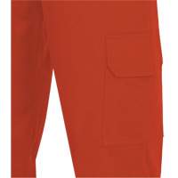 7765 Pantalon cargo de s&eacute;curit&eacute; haute visibilit&eacute; r&eacute;sistant aux arcs &eacute;lectriques FR-Tech 88/12, 30, x 32, Orange haute visibilit&eacute;, 10 cal/cm² Les Distributions ICE