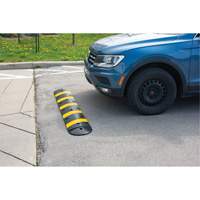 Speed Bump Kit, Rubber, 4' L x 11" W x 2" H Les Distributions ICE