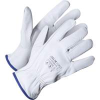 Delta Force Driver's Glove, 7/Small, Grain Goatskin Palm, Kevlar&reg; Inner Lining Les Distributions ICE