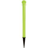 Ground Poles, Green Les Distributions ICE