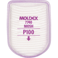 Filtre pour respirateur semi-rectangulaire, Filtre contre les particules, Filtre P100 Les Distributions ICE