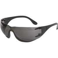Lunettes de s&eacute;curit&eacute; Adapt, Lentille Fum&eacute;e, Antibu&eacute;e/Anti-&eacute;gratignures, ANSI Z87+/R&eacute;pond ou surpasse la norme CSA Z94.3 Les Distributions ICE