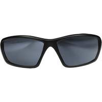 Robson Safety Glasses with Gasket, Silver Mirror Lens, Anti-Scratch/Polarized, ANSI Z87+/MCEPS GL-PD 10-12/Meets/Exceeds CSA Z94.3 Les Distributions ICE