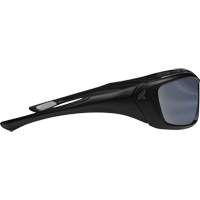 Robson Safety Glasses with Gasket, Silver Mirror Lens, Anti-Scratch/Polarized, ANSI Z87+/MCEPS GL-PD 10-12/Meets/Exceeds CSA Z94.3 Les Distributions ICE