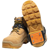 Targeted Ice Traction Cleats Les Distributions ICE