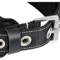 WB-6010-S Safety Restraint 1 D-Ring Belt with Padded Lumbar Support - Small Les Distributions ICE