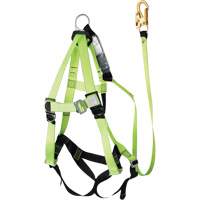 FBH-10000A6440-4 Harnais & longe classe A de 4' avec capacit&eacute; de 350 lb, Combinaison harnais/longe Les Distributions ICE