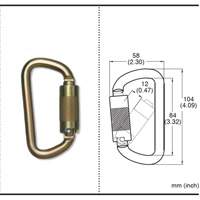 CP-03015-2 Zinc Plated Carabiner with 3/4" Gate Opening, Steel Les Distributions ICE