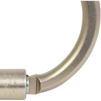 CP-04011-1 Zinc Plated Carabiner with 2" Gate Opening, Steel Les Distributions ICE