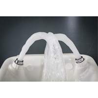 Douche oculaire/faciale, Installation Montage mural, Bol Plastique Les Distributions ICE
