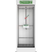 Cabine de douche d'urgence et douche oculaire/faciale couvert Les Distributions ICE