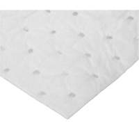 Rouleaux absorbants li&eacute;es, Poids moyen, 150' lo x 15" la, Absorption 10 gal. Les Distributions ICE