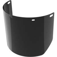 Lentille de rechange pour visi&egrave;re compl&egrave;te sans rev&ecirc;tement, Polycarbonate, Teinte 5,0 Les Distributions ICE