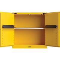 Armoire de s&eacute;curit&eacute; pour produits inflammables Utili-Guard+, 30 gal., 1 Porte(s), 43" La x 44" h x 22" p Les Distributions ICE