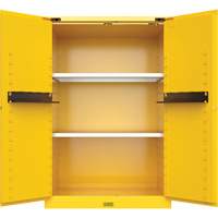 Armoire de s&eacute;curit&eacute; pour produits inflammables Utili-Guard+, 45 gal., 2 Porte(s), 43" La x 65" h x 22" p Les Distributions ICE