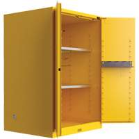 Armoire de s&eacute;curit&eacute; pour produits inflammables Utili-Guard+, 45 gal., 2 Porte(s), 43" La x 65" h x 22" p Les Distributions ICE