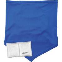 Chill-Its 6482 Cooling Neck Gaiter Bandana with Rechargeable Phase Change Packs, Small/Medium, Blue Les Distributions ICE