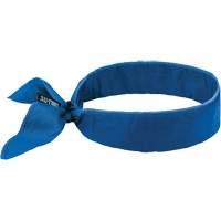 Chill-Its 6702 Cooling Headband with Embedded Polymers & Tie Closure, Blue Les Distributions ICE