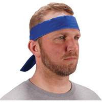 Chill-Its 6702 Cooling Headband with Embedded Polymers & Tie Closure, Blue Les Distributions ICE