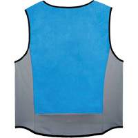 Chill-Its 6667 Wet Evaporative Cooling Vest with Zipper Closure, Medium, Blue Les Distributions ICE