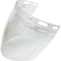 Visi&egrave;re 2CL, Polycarbonate, Teinte Transparent Les Distributions ICE