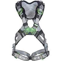 Harnais de s&eacute;curit&eacute; complet V-Fit, Certifi&eacute;e CSA, Classe AEP, Standard, Cap. 400 lb Les Distributions ICE