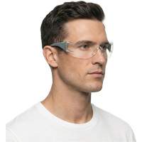 Lunettes de s&eacute;curit&eacute; gris/vert Adapt Lite, Lentille Transparent, Antibu&eacute;e/Anti-&eacute;gratignures, ANSI Z87+/R&eacute;pond ou surpasse la norme CSA Z94.3 Les Distributions ICE