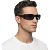 Lunettes de s&eacute;curit&eacute; Adapt Lite, Lentille Fum&eacute;e, Antibu&eacute;e/Anti-&eacute;gratignures, ANSI Z87+/R&eacute;pond ou surpasse la norme CSA Z94.3 Les Distributions ICE