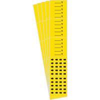 "Blank °F" Pipe Markers, Self-Adhesive, 2-1/4" H x 14" W, Black on Yellow Les Distributions ICE