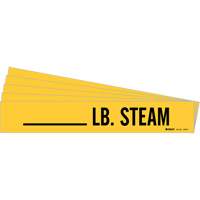 "LB. Steam" Pipe Markers, Self-Adhesive, 2-1/4" H x 2-3/4" W, Black on Yellow Les Distributions ICE