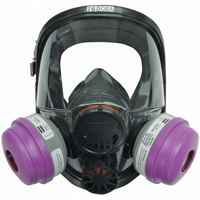 Respirateur &agrave; masque complet North s&eacute;rie 7600, Silicone, Grand/Moyen/Moyen/grand Les Distributions ICE