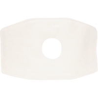 Filtre de rechange North, Filtre contre les particules, Filtre N99 Les Distributions ICE