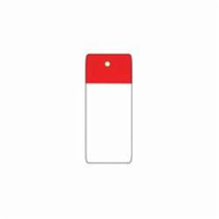 &eacute;tiquettes de s&eacute;curit&eacute; pour les &eacute;chafaudages, Polyester, 4" la x 7" h, Anglais Les Distributions ICE