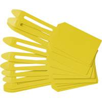 &eacute;tiquettes de cadenassage vierges en plastique, Plastique, 3-1/4" la x 5-4/5" h, Vierge Les Distributions ICE