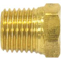 Pipe Plug (Hex Head), 1/2" Dia., Brass Les Distributions ICE