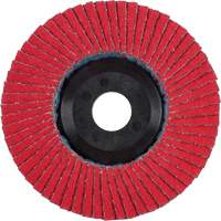 Flap Disc, 4-1/2" x 5/8"-11, Type 27, 40 Grit, Ceramic Les Distributions ICE