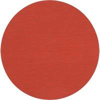 Roloc 787C Fibre Disc, Ceramic, 36+, 2" Dia Les Distributions ICE
