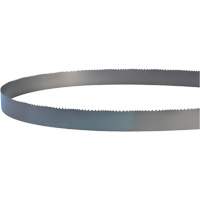 Lame soud&eacute;e pour scie &agrave; ruban, Bim&eacute;tal, 14' lo x 1" la x 4 - 6 dents par pouce Les Distributions ICE