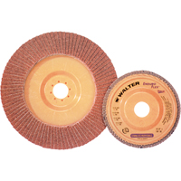 Disque &agrave; lamelles Stainless Enduro-Flex, 4-1/2" x 7/8", Type 27, Grain 40, Alumine de zirconium Les Distributions ICE