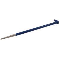 Rolling Head Pry Bar, 9/16" W x 15-1/4" L Les Distributions ICE