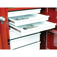 Rolling Work Bench, 49-7/8" W x 40-5/8" H x 26-7/8" D, 24.6 Cubic Feet Capacity Les Distributions ICE