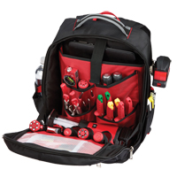 Low-Profile Backpack, 10" L x 12" W, Black, Ballistic Les Distributions ICE