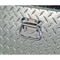 Aluminum Fuel Transfer Tank & Chest, Aluminum, 74 gal. Capacity, Silver Les Distributions ICE
